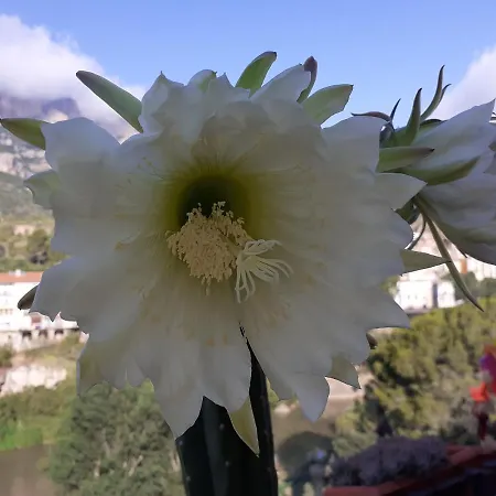 Appartamento Piso Con Desayuno Incluido Y Vistas A La Montana. Monistrol de Montserrat